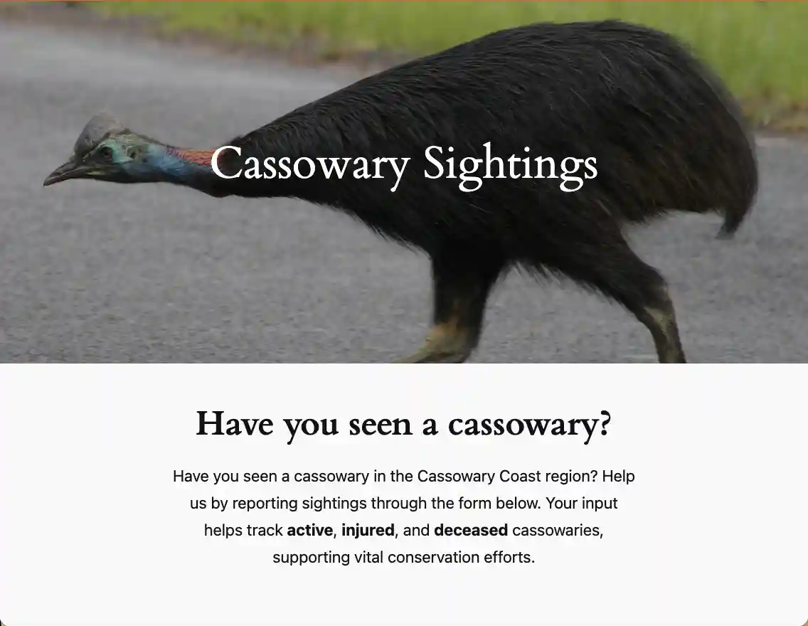 Wet Tropics rainforest landscape