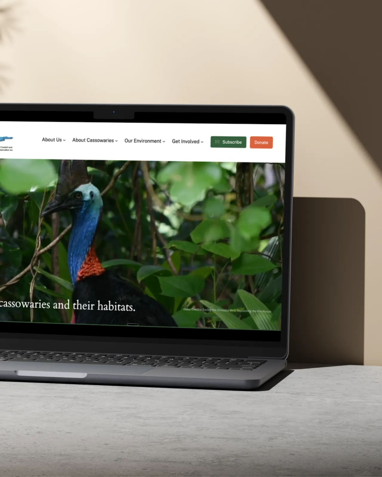 C4 website featuring a Southern Cassowary on a laptop