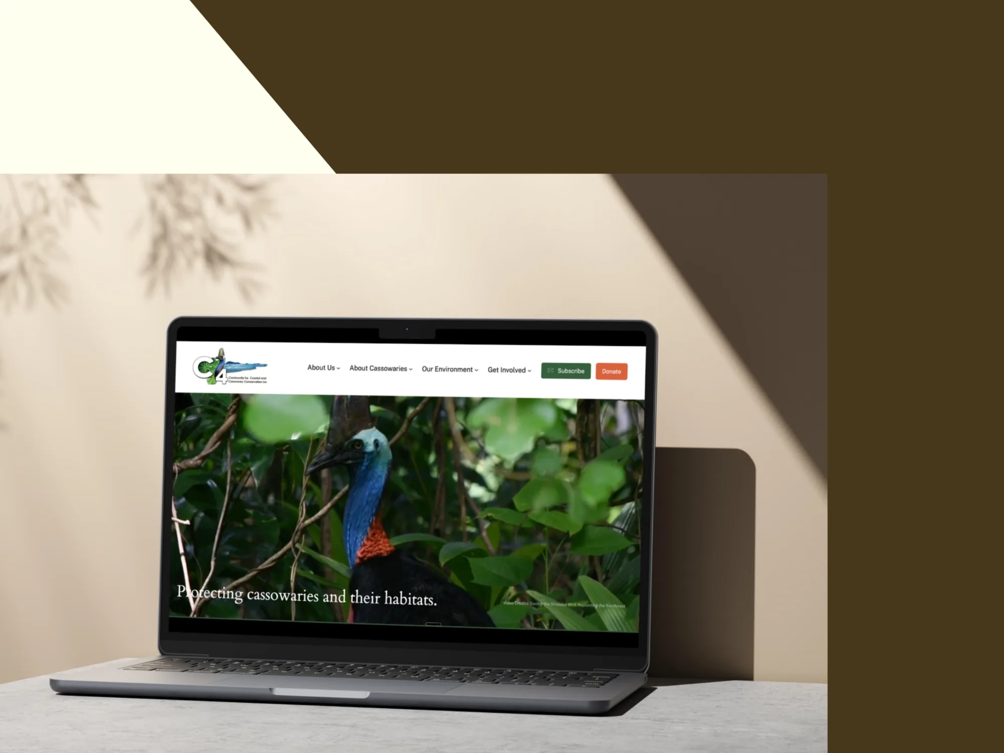 C4 website on desktop showing the refreshed brand and conservation storytelling